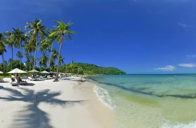 Bãi biển cát trắng, dừa và dù che nắng nước trong xanh