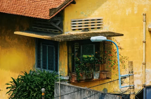 Ngôi nhà cổ tường vàng ban công đầy cây xanh ở phố cổ