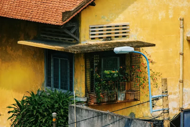 Ngôi nhà cổ tường vàng ban công đầy cây xanh ở phố cổ