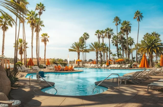 Hồ bơi resort giữa hàng cọ và ghế nằm dưới nắng