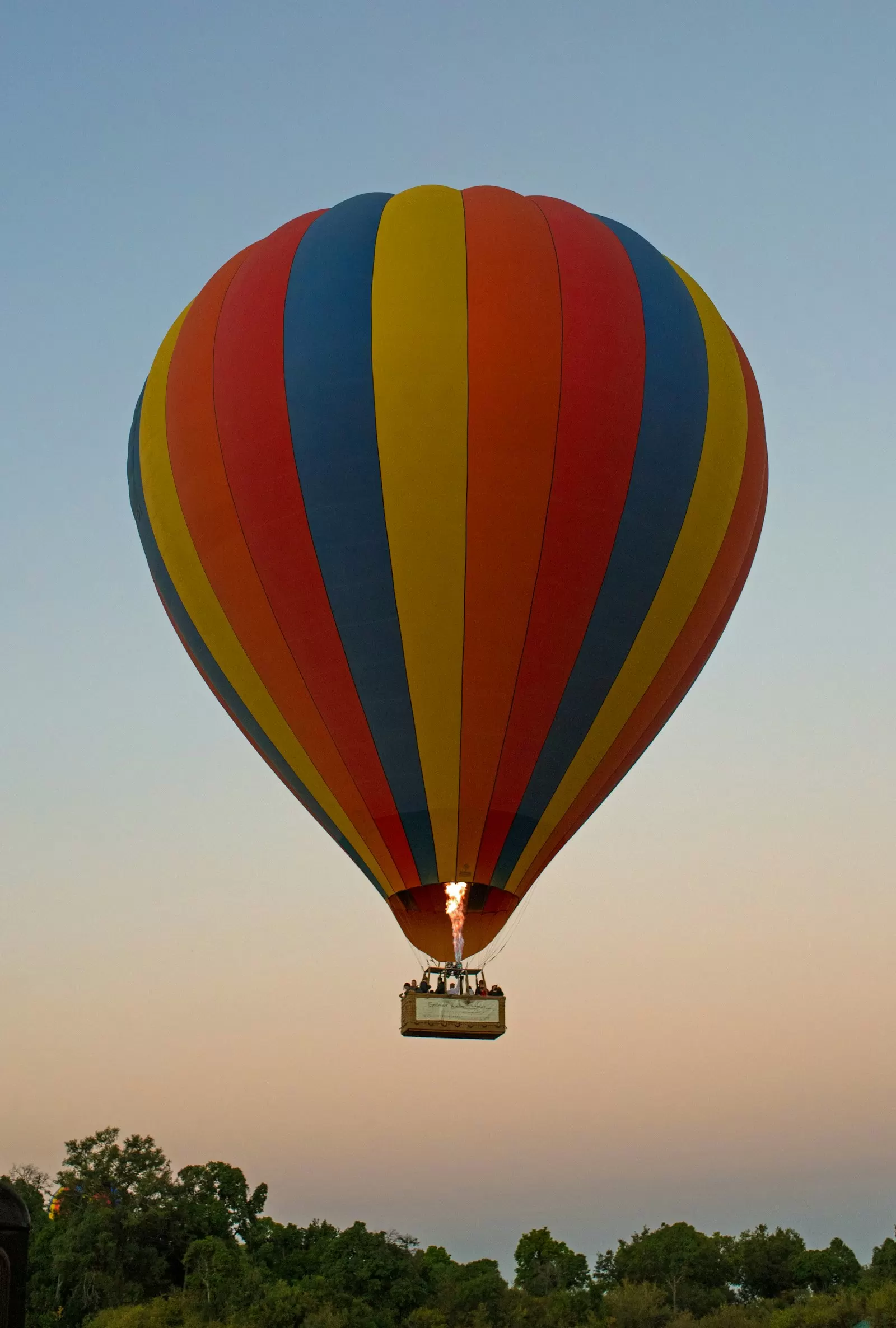 Khinh khí cầu nhiều màu bay lúc bình minh trên Masai Mara