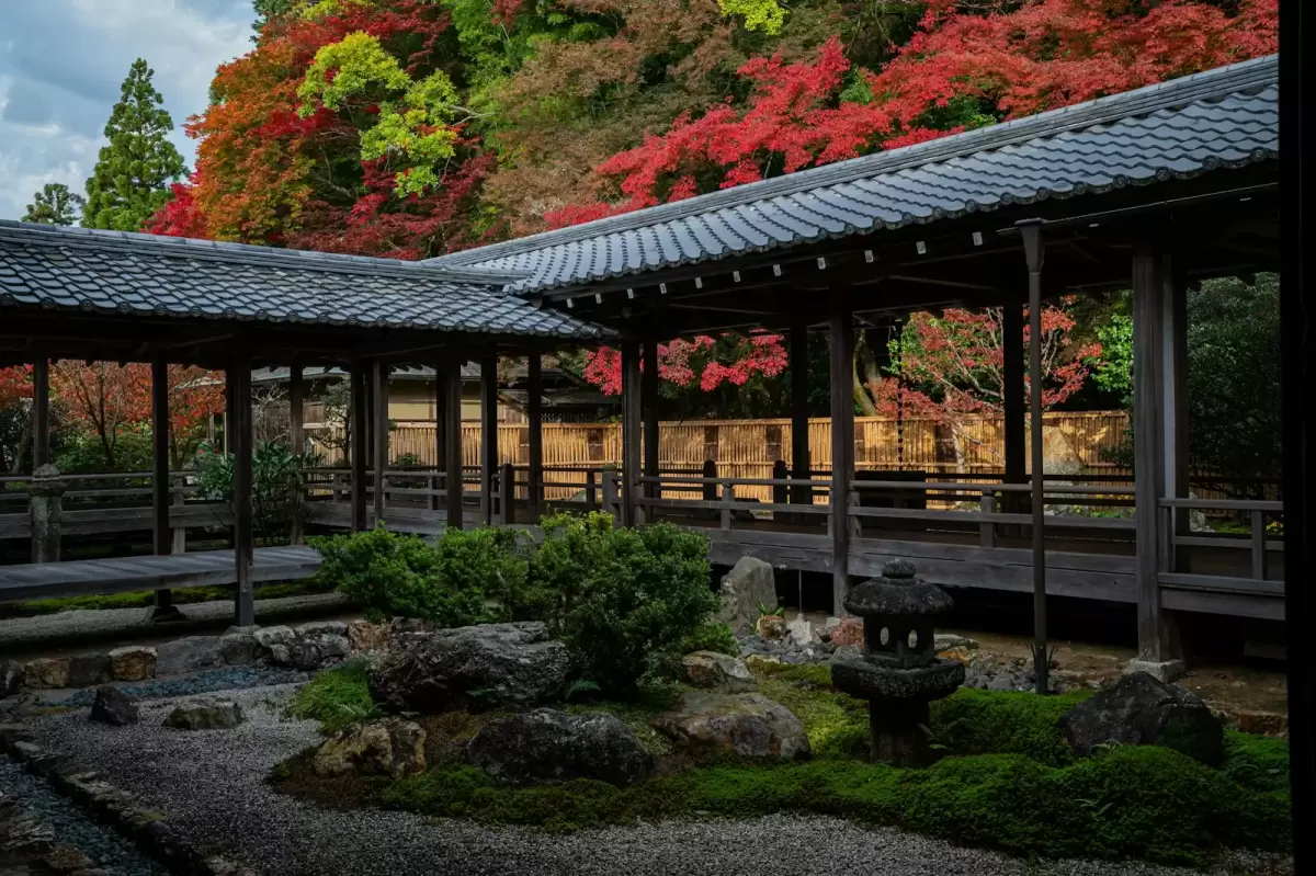 Hành lang gỗ trong khu vườn Nhật mùa lá đỏ ở Kyoto
