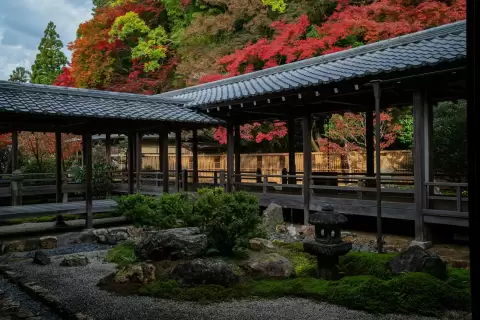 Hành lang gỗ trong khu vườn Nhật mùa lá đỏ ở Kyoto