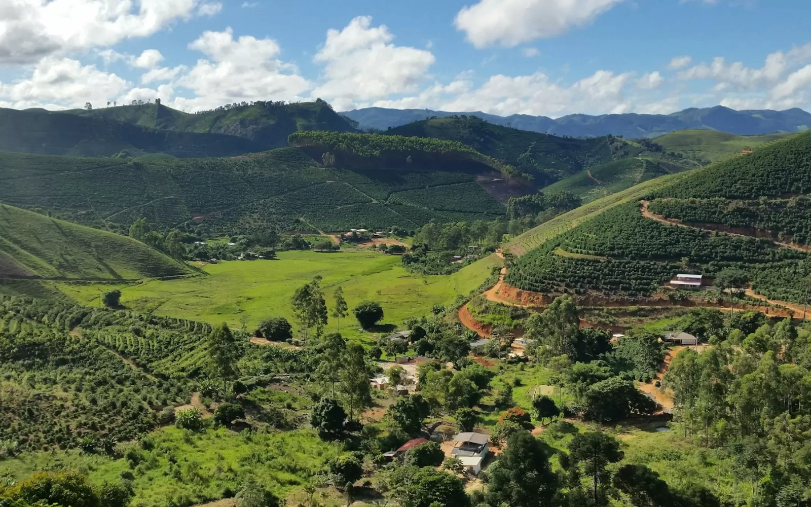 Cà phê Gia Lai: Robusta Culi trên đất đỏ Biển Hồ