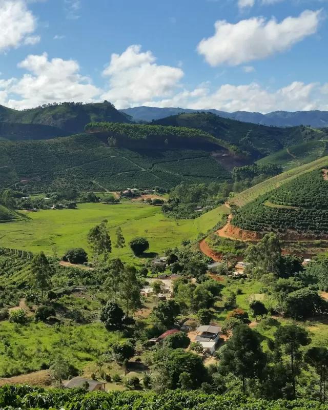 Chú Nam — nông hộ Gia Lai · 780m