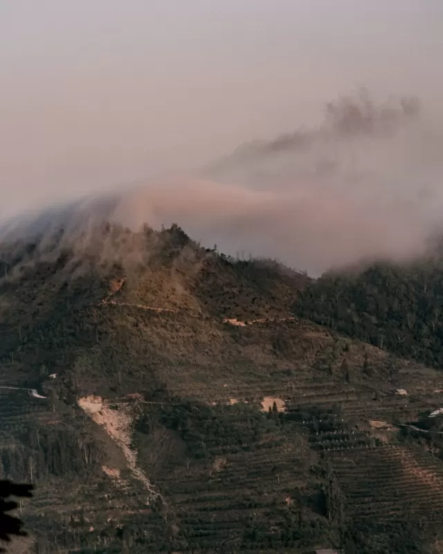 Anh Sơn — nông hộ Sơn La · 1.100m
