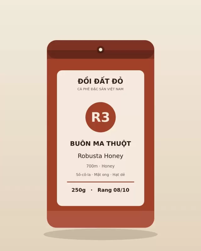 Robusta Honey Buôn Ma Thuột — túi cà phê Rang vừa 250g