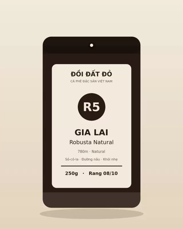 Robusta Natural Gia Lai — túi cà phê Rang đậm 250g