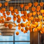 Hàng trăm quả hồng chín màu cam được treo thành chuỗi để hong gió