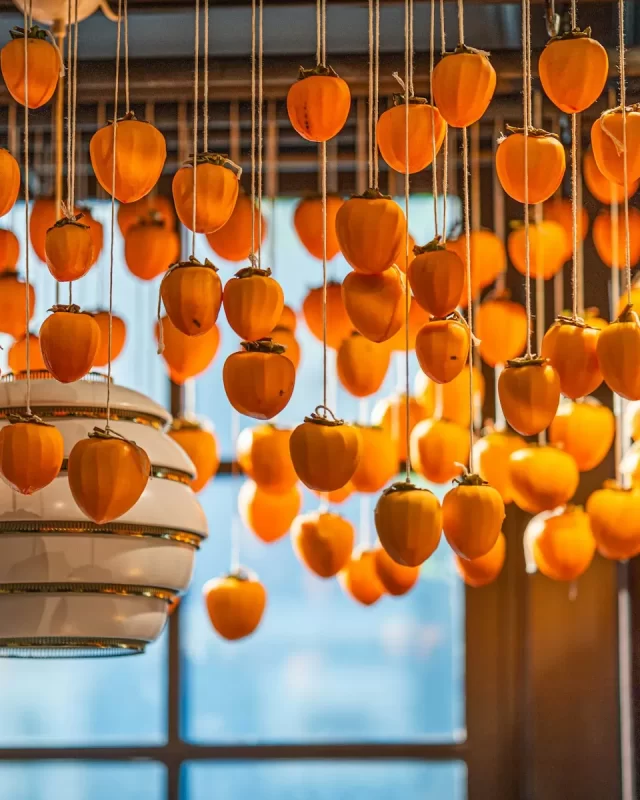 Hàng trăm quả hồng chín màu cam được treo thành chuỗi để hong gió