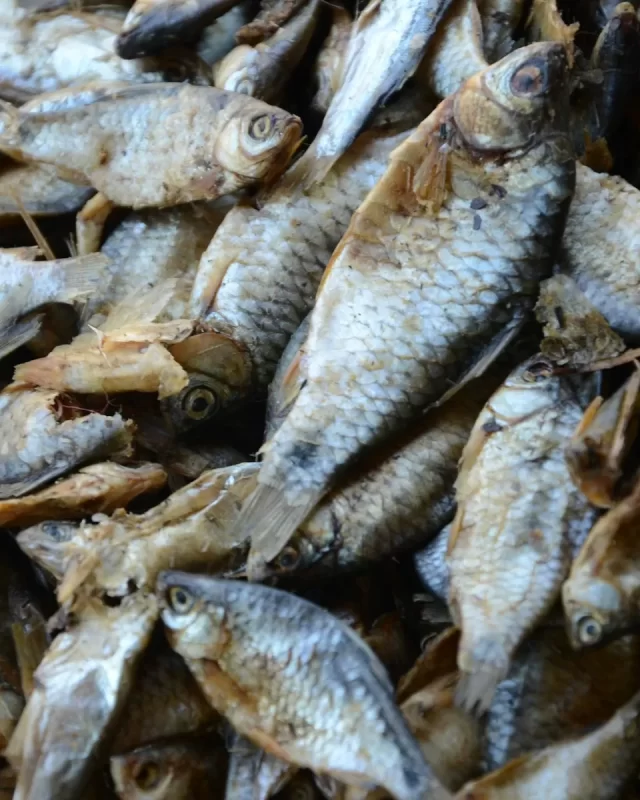 Đống cá khô bạc phơi nắng chất đầy, thân cá cong khô ráo