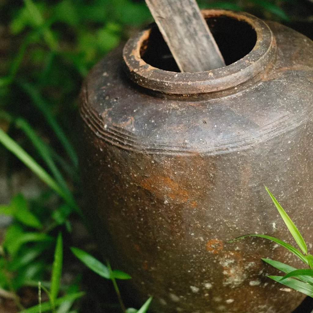 Chum sành cũ nắp gỗ đặt giữa vườn cây xanh, kiểu chum ủ mắm truyền thống