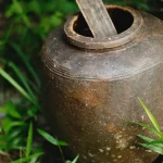 Chum sành cũ nắp gỗ đặt giữa vườn cây xanh, kiểu chum ủ mắm truyền thống