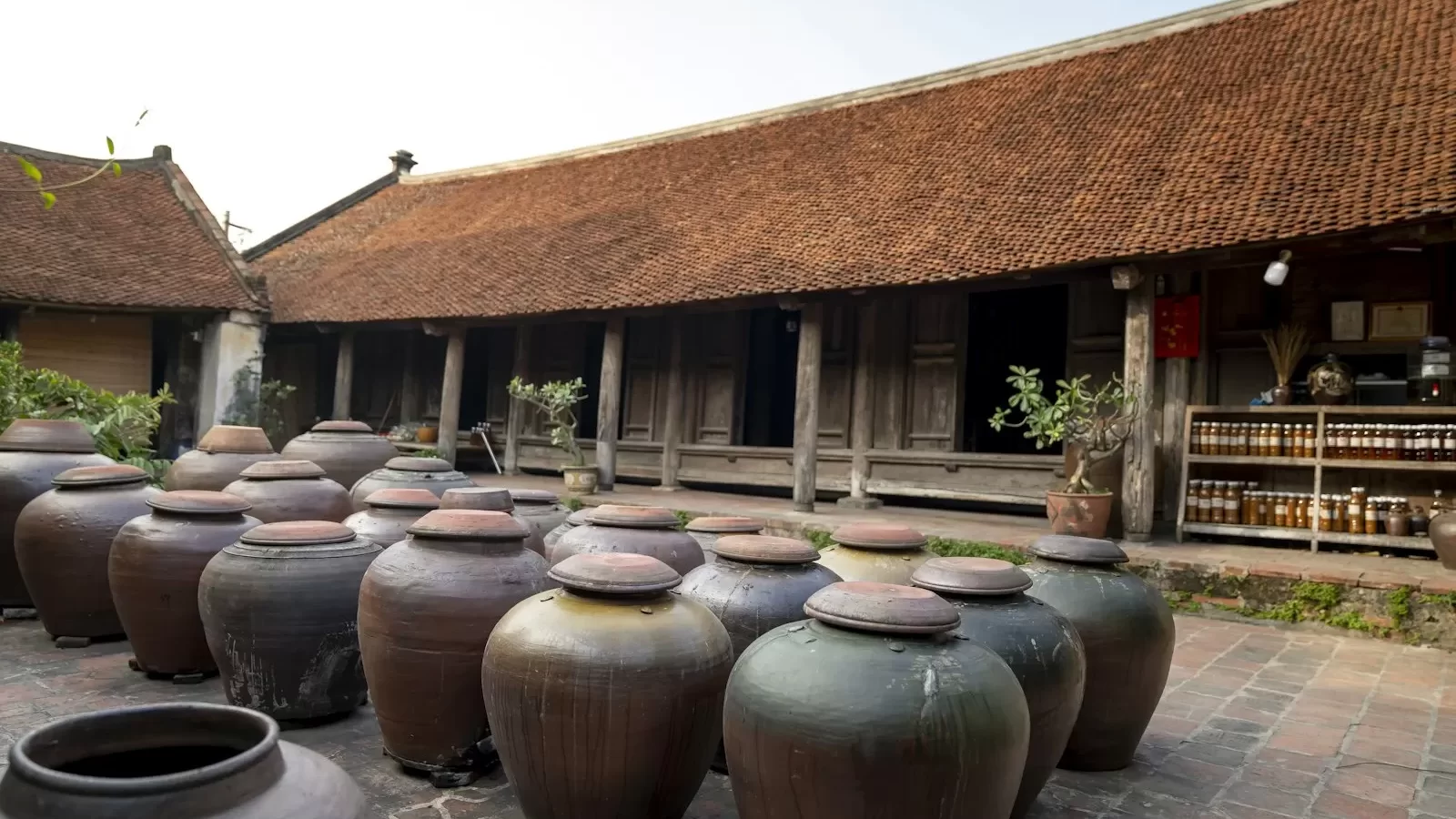 Hàng chum sành ủ mắm trước sân một ngôi nhà gỗ mái ngói cổ