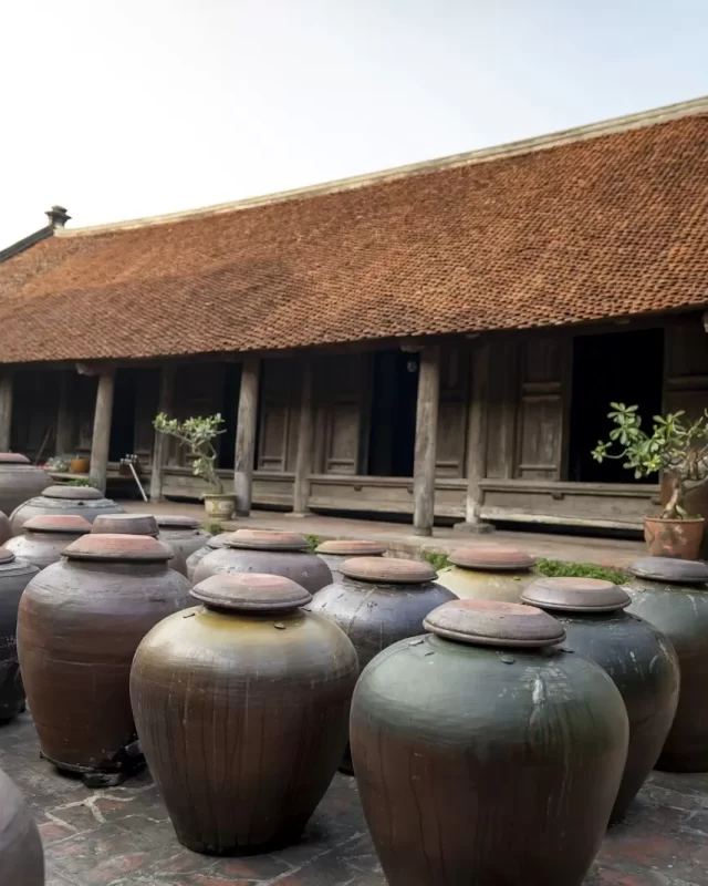 Hàng chum sành ủ mắm trước sân một ngôi nhà gỗ mái ngói cổ