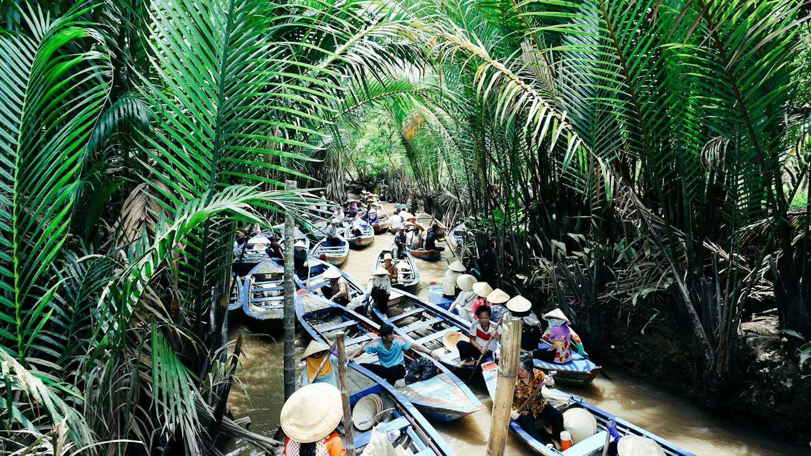Những chiếc xuồng chèo len giữa rừng dừa nước trên kênh miền Tây