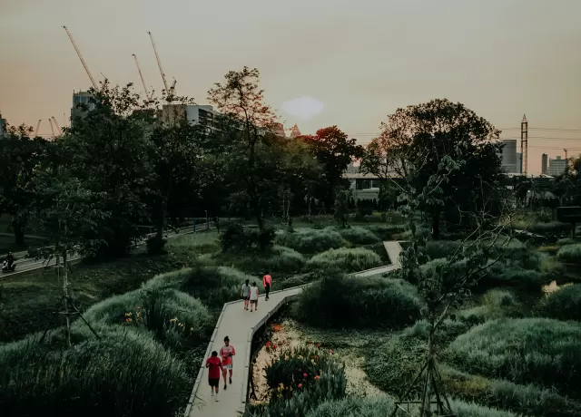 Lối đi bộ bằng gỗ xuyên qua công viên xanh