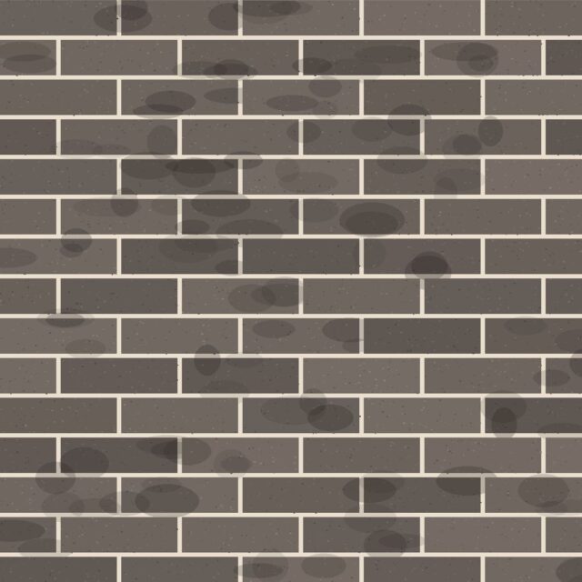Bề mặt Gạch thẻ Tro khói 60×200