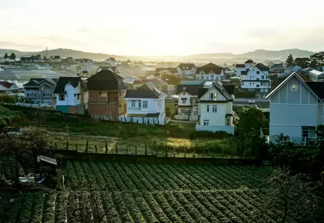 Đà Lạt 3 ngày 2 đêm cặp đôi: lịch trình chậm, ít chạy, nhiều ngồi