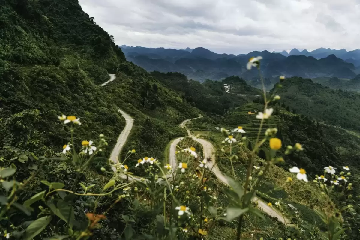 Mùa tam giác mạch Hà Giang: đi lúc nào, chụp ở đâu, ứng xử thế nào