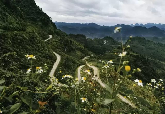 Mùa tam giác mạch Hà Giang: đi lúc nào, chụp ở đâu, ứng xử thế nào
