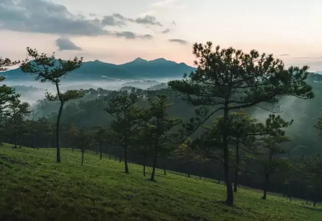 Góc Nhỏ · Đồi Thông Mây – Sườn đồi thông phía đông, cách trung tâm 15 phút