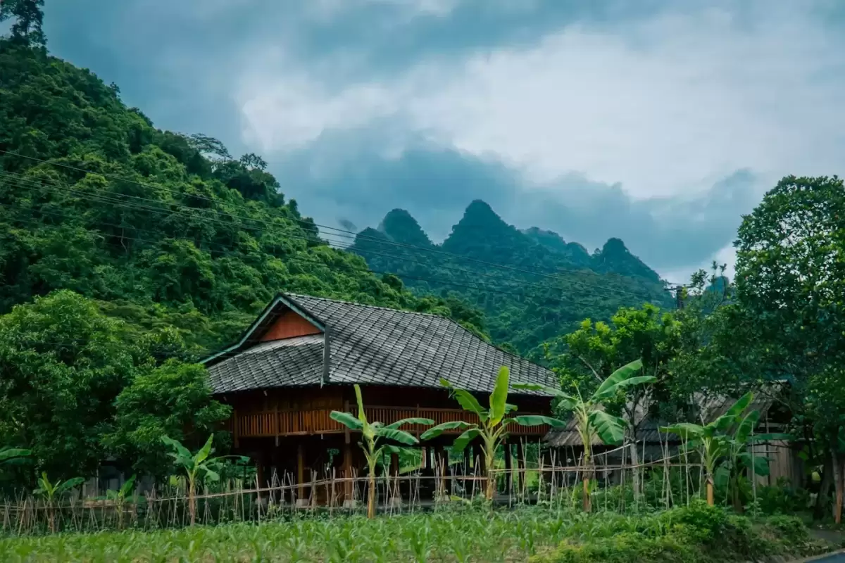 Nhà sàn gỗ truyền thống nằm giữa núi rừng xanh trong thung lũng Du Già, Hà Giang