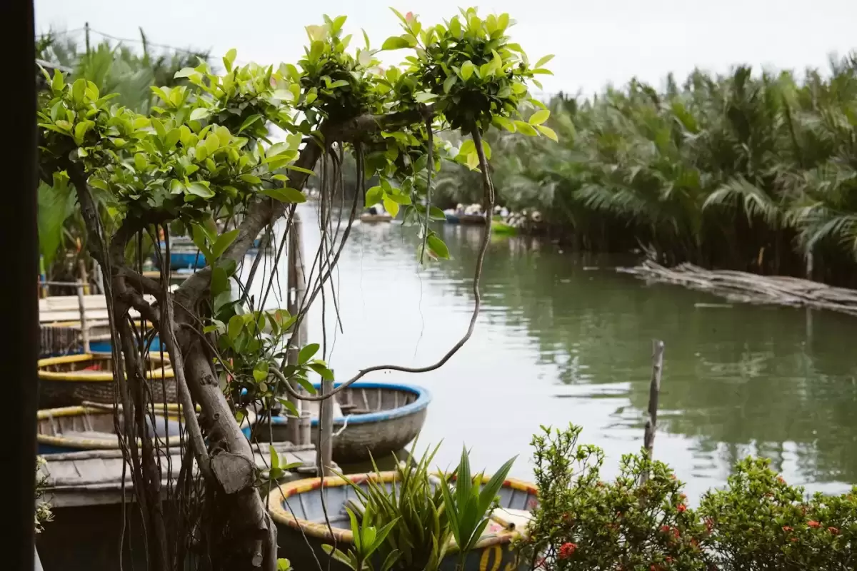 Kênh nước trong rừng dừa nước ở Cẩm Thanh với những chiếc thuyền thúng neo bên bờ, gần homestay Rơm Cẩm Thanh