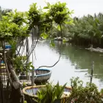 Kênh nước trong rừng dừa nước ở Cẩm Thanh với những chiếc thuyền thúng neo bên bờ, gần homestay Rơm Cẩm Thanh