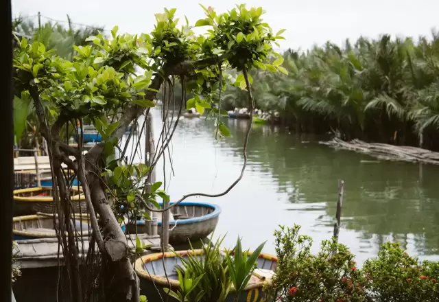 Góc Nhỏ · Rơm Cẩm Thanh – Làng Cẩm Thanh, bên rừng dừa nước