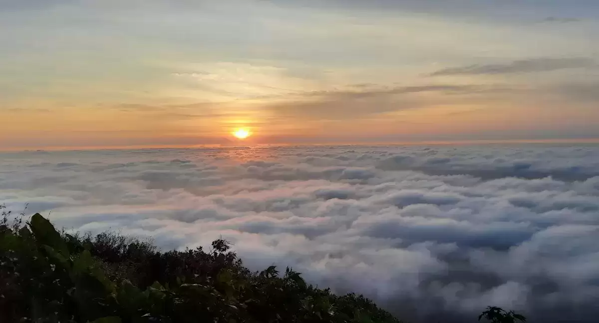 Cảnh Đà Lạt nhìn từ khu homestay GÓC NHỎ