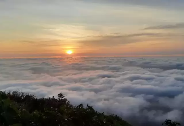 Mặt trời lên trên biển mây Đà Lạt nhìn từ đồi thông