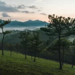 Đồi thông và thung lũng Đà Lạt lúc bình minh