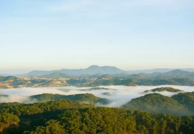 Thung lũng sương mù buổi sớm ở Đà Lạt