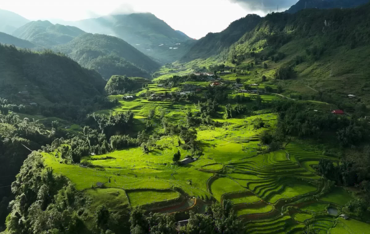 Ruộng bậc thang xanh mướt trong thung lũng Sa Pa