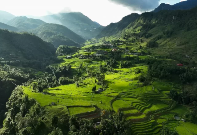 Ruộng bậc thang xanh mướt trong thung lũng Sa Pa