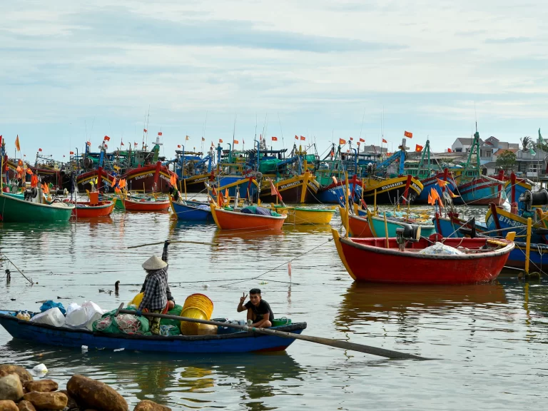 Tàu cá nhiều màu neo tại cảng buổi sáng
