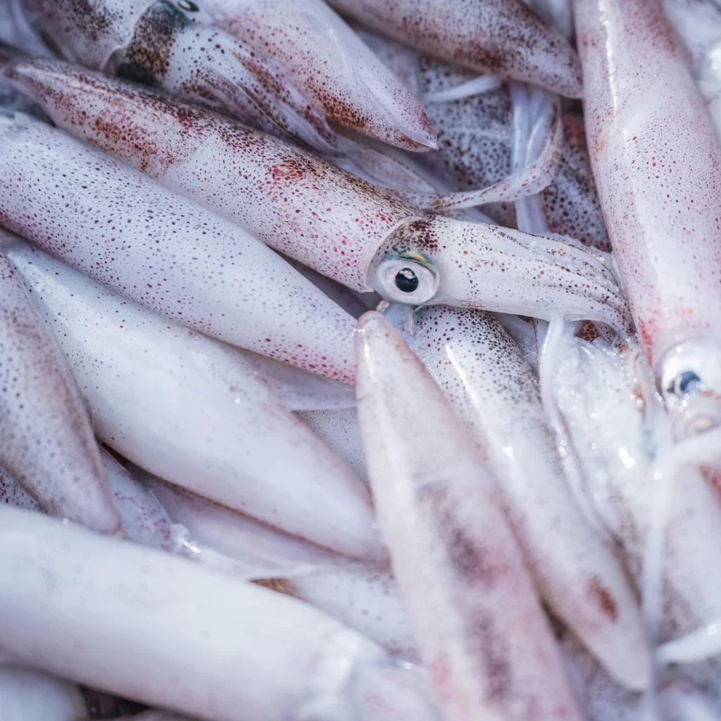 Mực lá tươi trắng hồng xếp chồng lên nhau