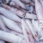 Mực lá tươi trắng hồng xếp chồng lên nhau