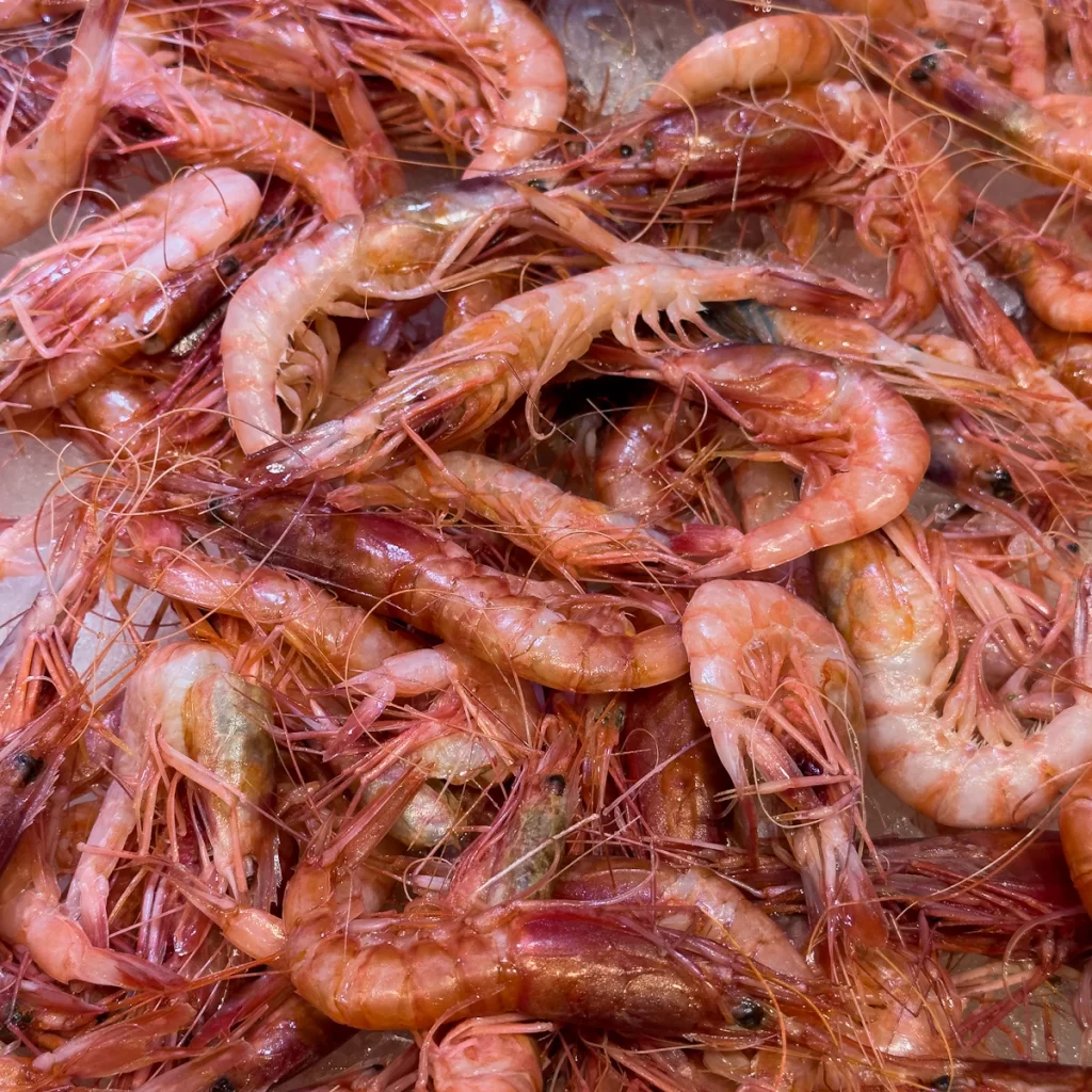Tôm đỏ tươi ướp đá, vỏ hồng đỏ bóng