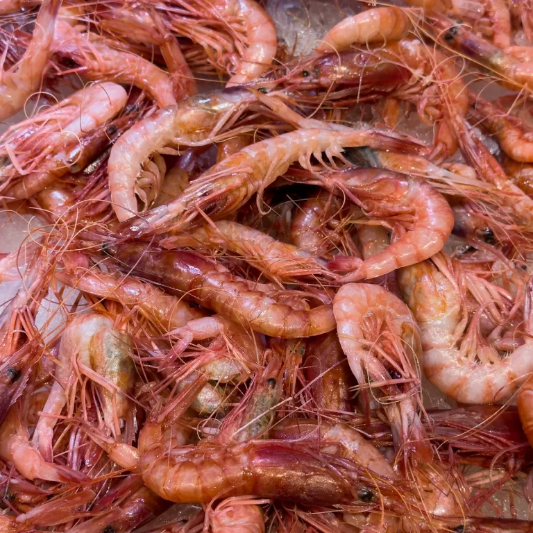 Tôm đỏ tươi ướp đá, vỏ hồng đỏ bóng
