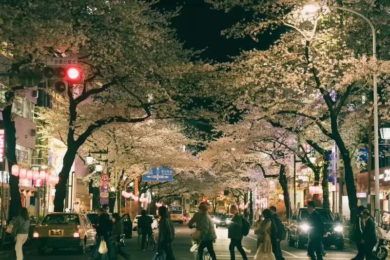 Sakura Gakuin University – Tokyo