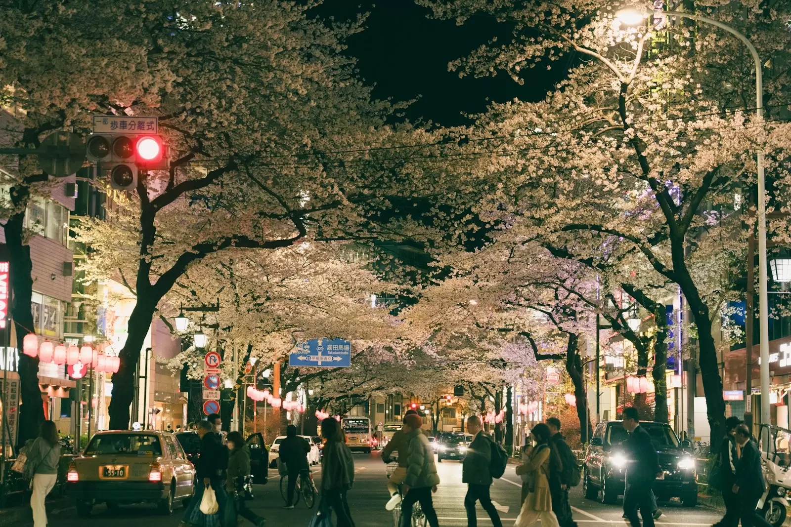 Sakura Gakuin University – Tokyo
