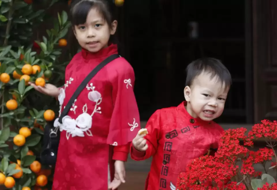 Hai bé mặc áo dài đỏ đứng bên cây quất sai quả đón Tết