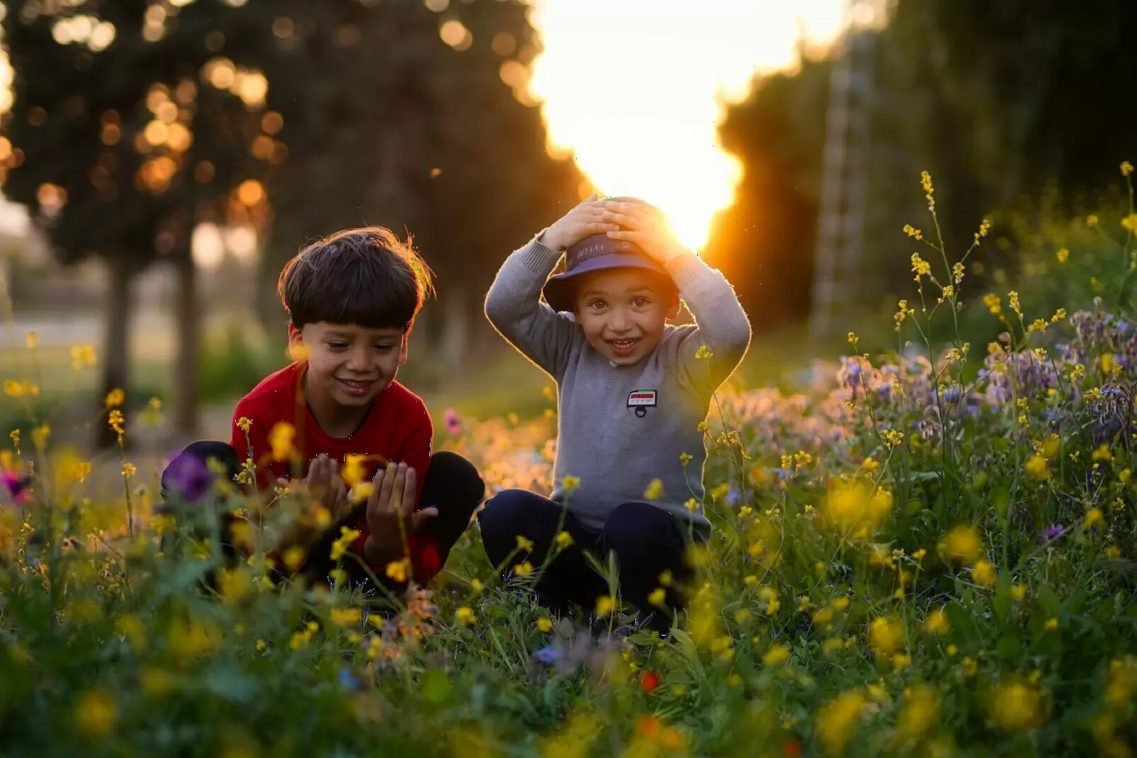 Hai bé trai ngồi giữa cánh đồng hoa dại trong nắng chiều vàng ấm, mỉm cười thích thú