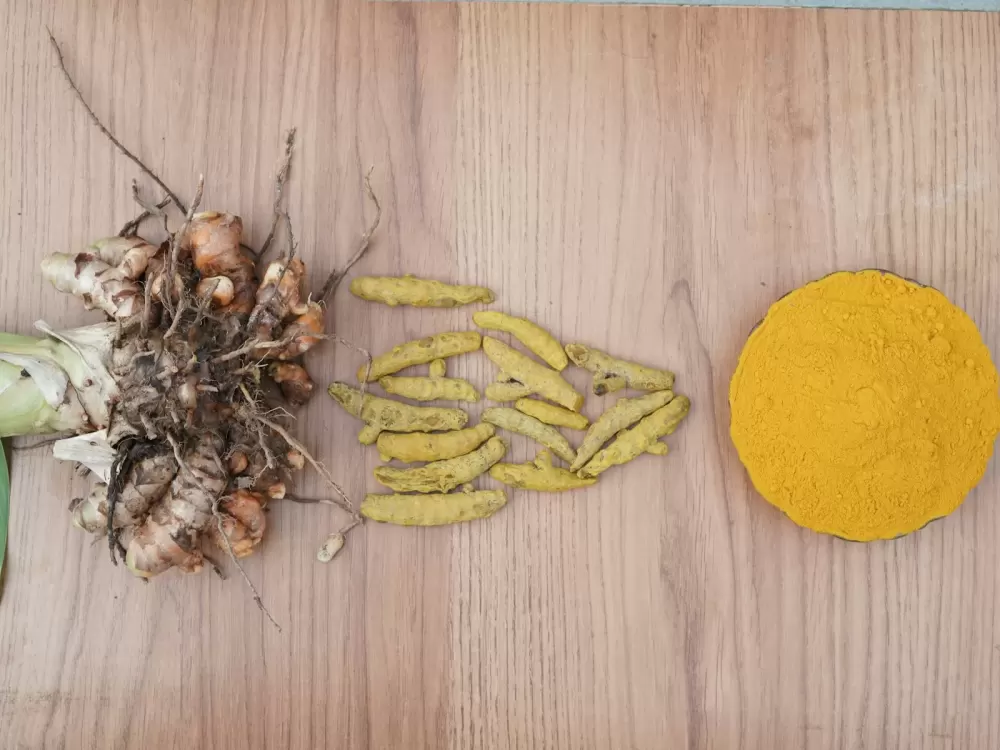 Nghệ tươi, lát nghệ và bột nghệ
