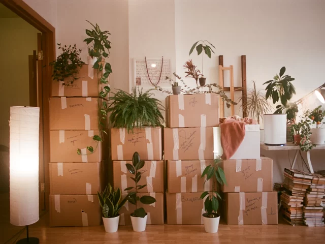 Căn phòng chất đầy thùng carton chuẩn bị chuyển nhà