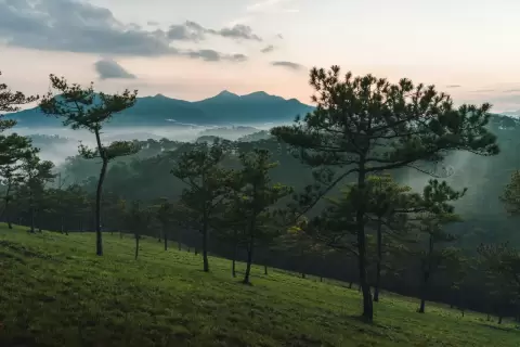 Chụp ảnh cưới Đà Lạt: đồi thông và dãy núi xa trong ánh chiều ấm, sương mỏng