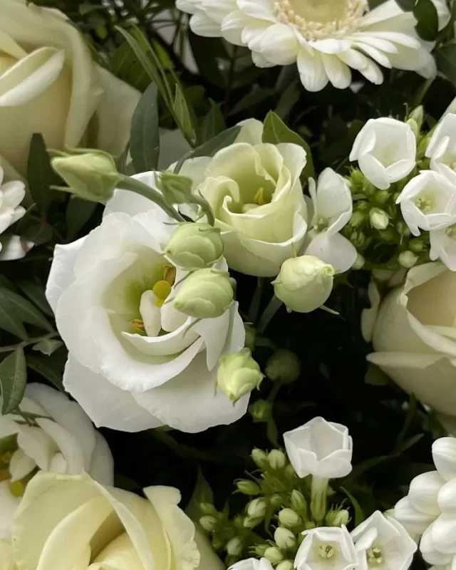 Cận cảnh: cành hoa lisianthus trắng kem xen lá xanh dịu