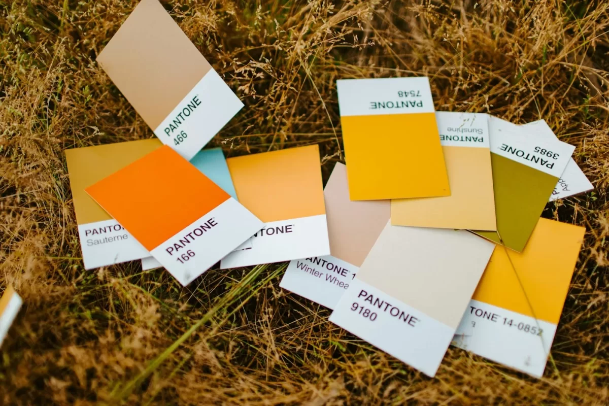 Pantone và CMYK: khi nào cần màu pha riêng cho logo – ảnh minh hoạ